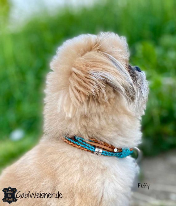 Luxus Hundehalsband und Leine im SET für kleine Hunde. Fluffy