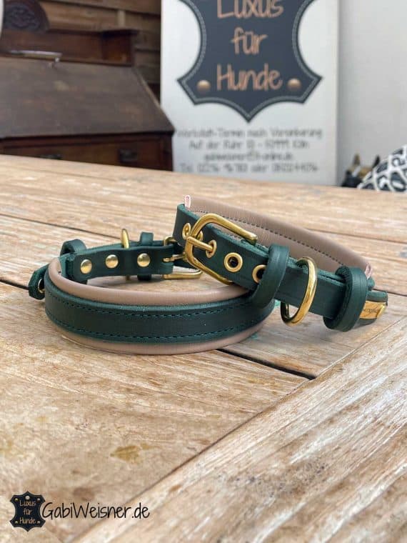 Hundehalsband Leder Grün 2 cm Unterleder 3 cm breit Messing