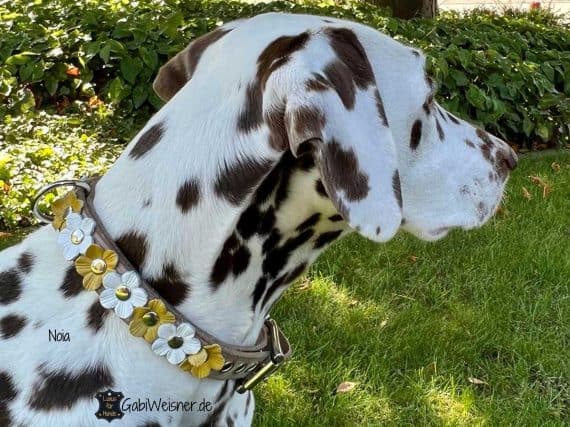 Hundehalsband aus Leder mit Leder-Blumen, individuell