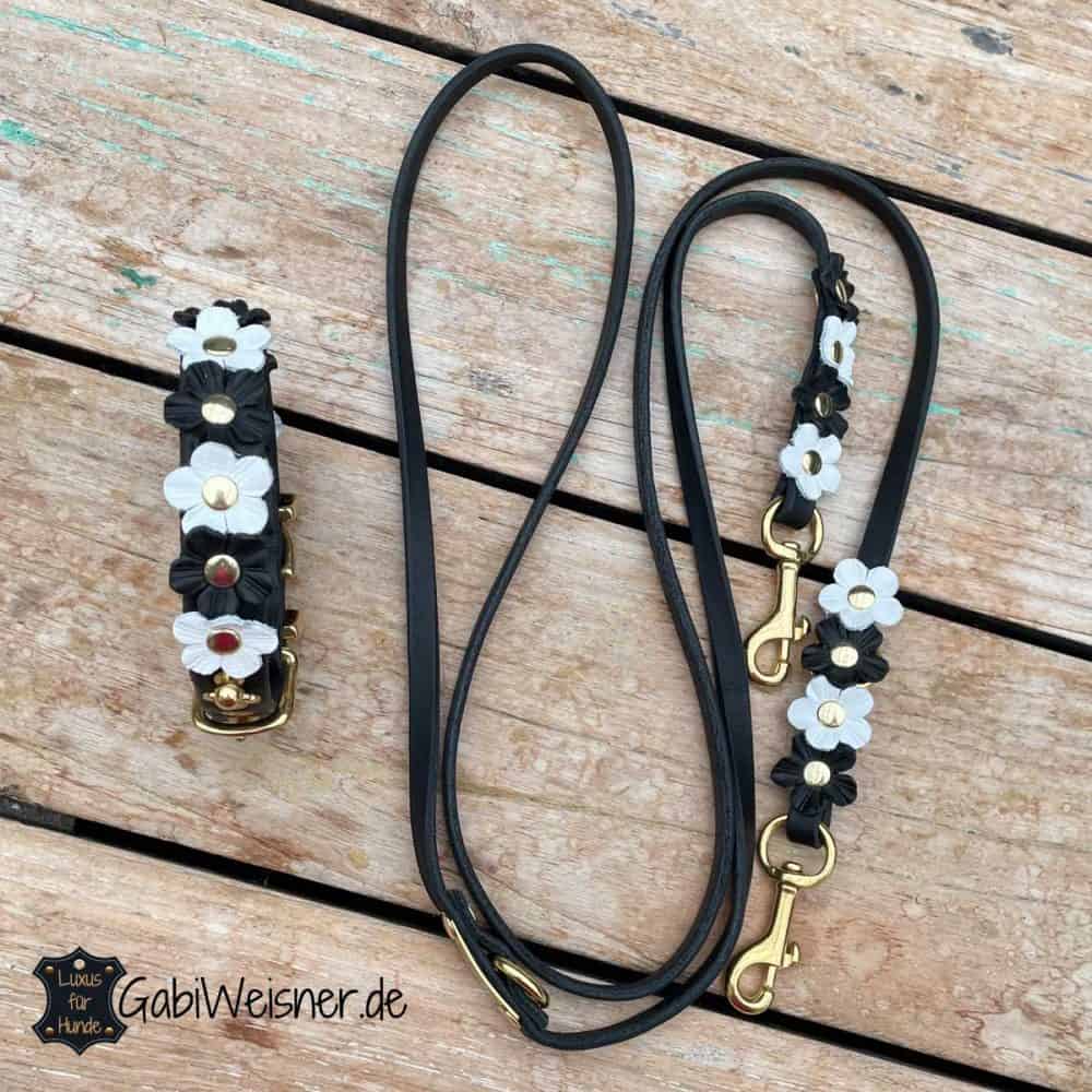 Set Hundehalsband Und Leine – S`Queed