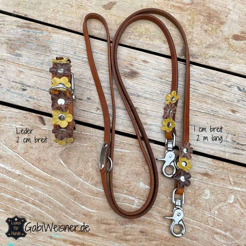 Echtleder Hundehalsband Und Leinen Set – 4 Cm Breit, Verstellbar, In Verschiedenen Größen (M: 38-48 Cm)