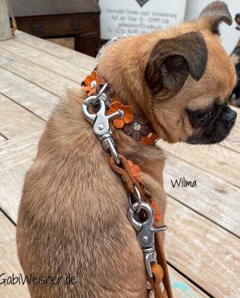 Hundehalsband SET für kleine Hunde, mit Blumen aus Leder