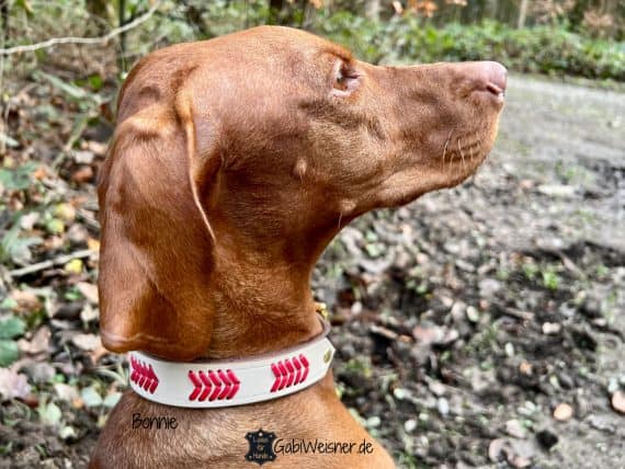 Hundehalsband aus Leder in Beige Magyar Vizsla Bonnie