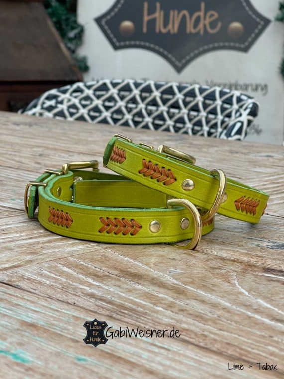 Hundehalsband aus Leder 25 mm breit, Farbe nach Wunsch Lime Tabak