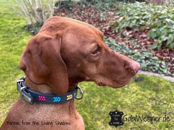 Hundehalsband aus Soft-Leder bestückt mit Edelstahl in silberfarben oder Messing in goldfarben. Dekoriert mit 3er-V-Muster in bunt und verstellbar in 5 Ösen. Weiches Soft-Leder 24 mm breit in den zur Auswahl stehenden Farben.
