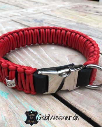 Hundehalsband in Rot.