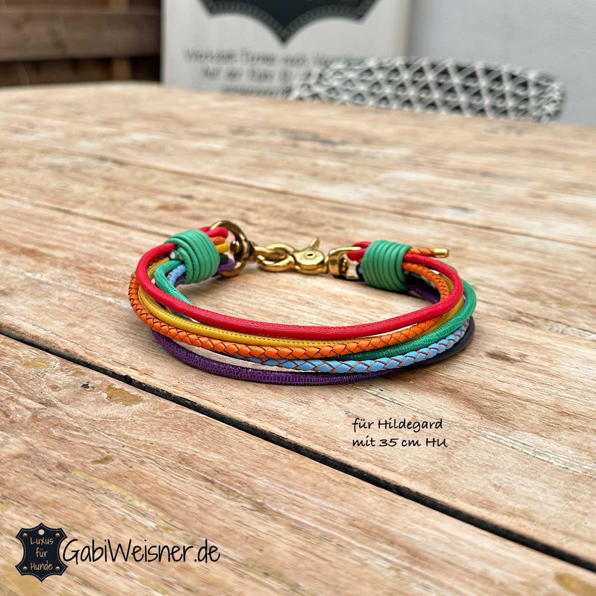 Hundehalsband Regenbogen