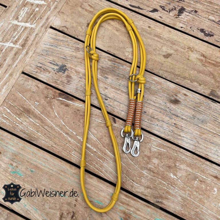 Tissting Leder Hundeleine - 2 Meter, Verstellbar - Für Große Hunde, Training