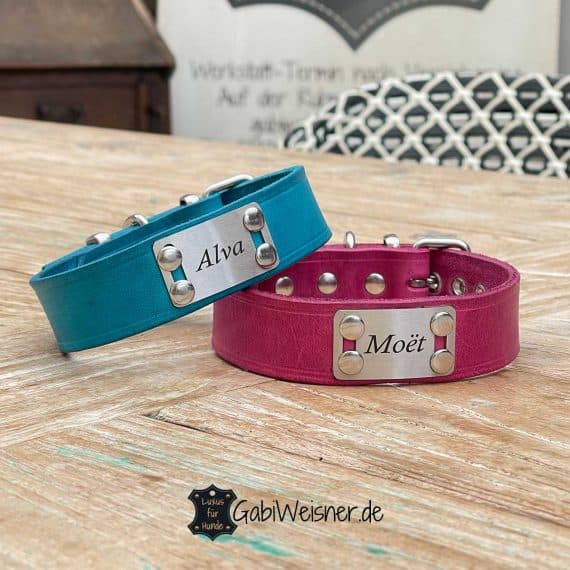 Einfaches Hundehalsband mit Namensschild aus Edelstahl, Leder in allen Farben und 3 cm breit.