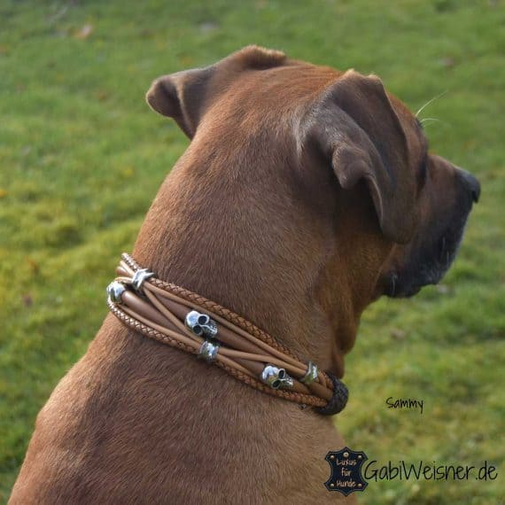 Luxus Hundehalsband Leder Rhodesian Ridgeback Sammy