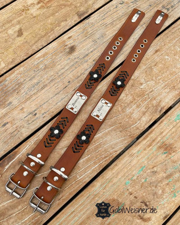 Einfaches Hundehalsband aus Leder mit Name und DEKO