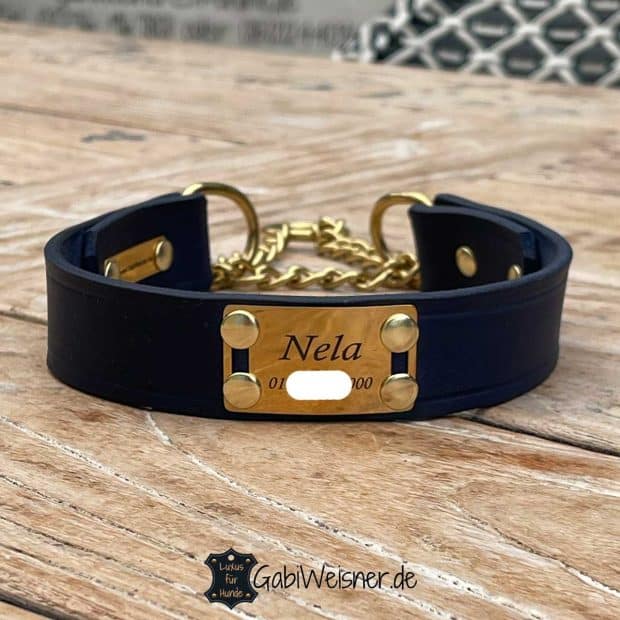 CG94 Hundehalsband 35 Cm – Vernickeltes Eisen, Verstellbar Mit Leiter, Inklusive Erkennungsmarke