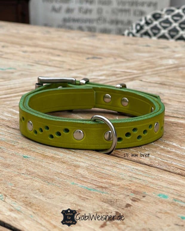 Hundehalsband aus Leder in Sonderfarbe Lime und 25 mm breit.