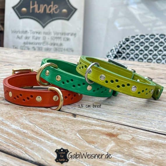 Hundehalsband aus Leder in Sonderfarben 25 mm breit.