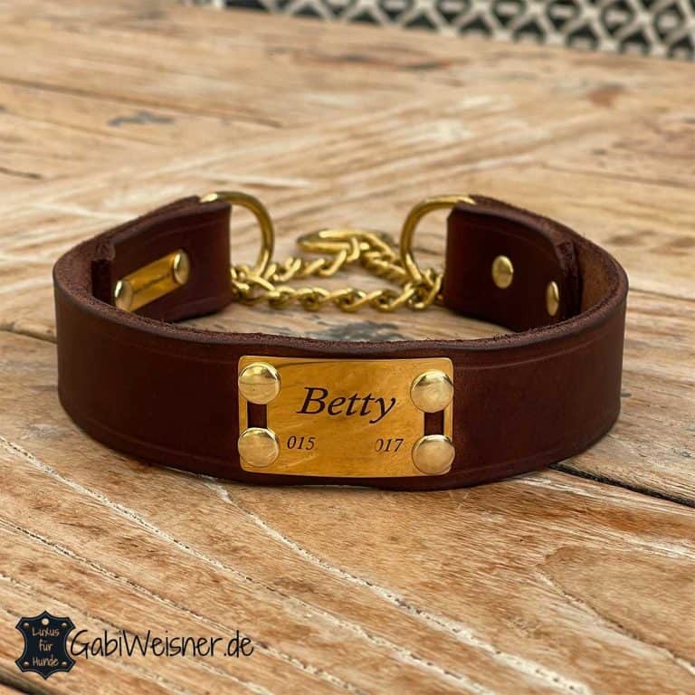 Hundehalsband Riverlino Camel Silber
