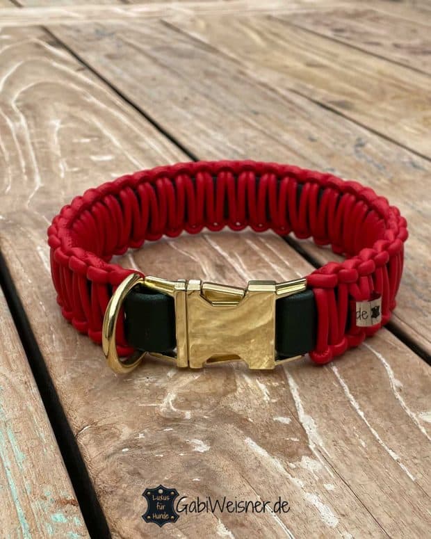 Hundehalsband mit Klick in goldfarben, Leder in Rot.