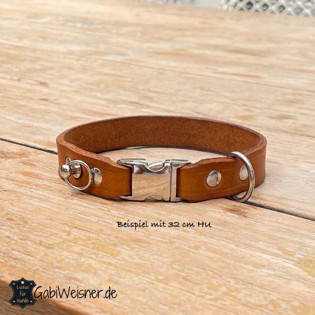 kleines Hundehalsband aus Leder mit Steckschnalle