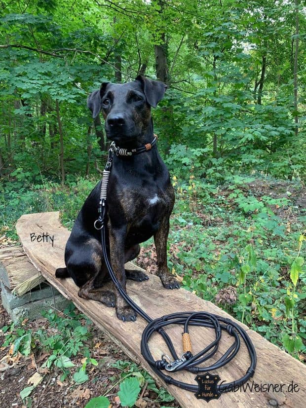 Luxus Hundeleine aus Rundleder im Doppelstrang. Betty