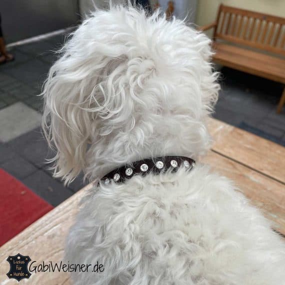 Hundehalsband mit Strass auf Leder für kleine Hunde. Malteser Schnee.