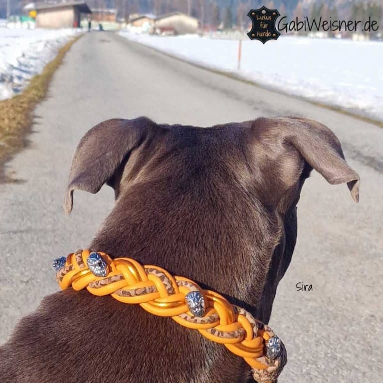 Serijoars Hundehalsband Mit Kubanischen Gliedern & Diamant-Look – 13 Mm Breit, Metall, Gold