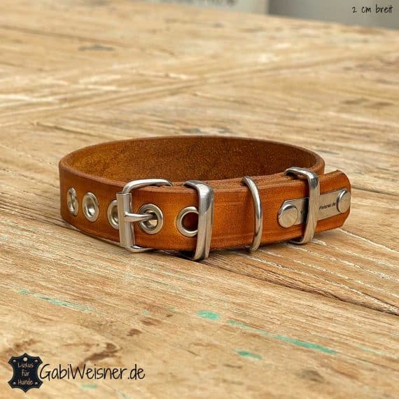 Einfaches Hundehalsband aus Leder 2 cm breit.