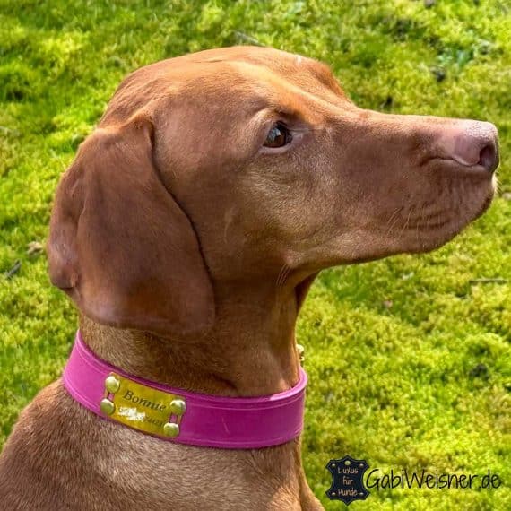 Hundehalsband mit Namensschild Leder in Pink Bonnie
