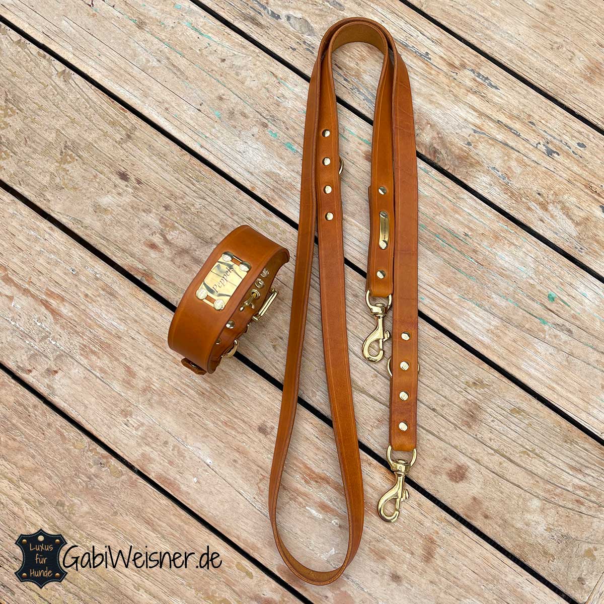 Hundehalsband und Hundeleine aus Leder und mit Namensschild