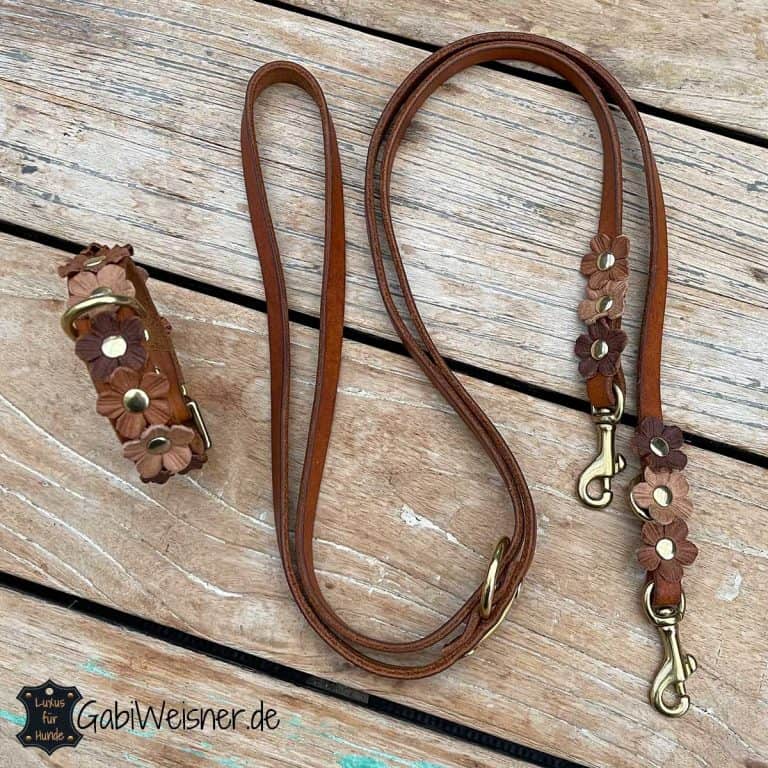 Echtleder Hundehalsband & Leine Set – Passend, 2,5 Cm Breit, Größe M (38–48 Cm), Mit Silberner Schnalle