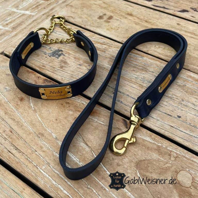 Lupine Combo Hundehalsband – Mit Muster, Verstellbar 48,6-68,6 Cm, Limit-Slip Martingale-Stil