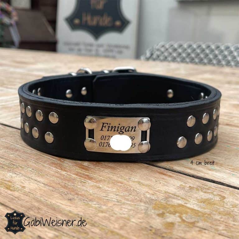 Leder Hundehalsband Mit Nieten – Für Kleine & Mittelgroße Hunde, 5-fach Verstellbar, Mit D-Ring