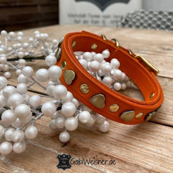 Hundehalsband mit Herzen auf Leder 25 mm breit, Orange + Gold.