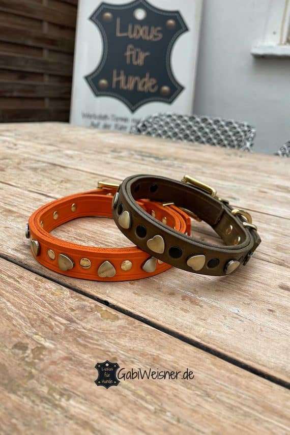 Hundehalsband aus Leder in orange oder Olive + Herz in Gold und schwarze oder goldene Nieten.