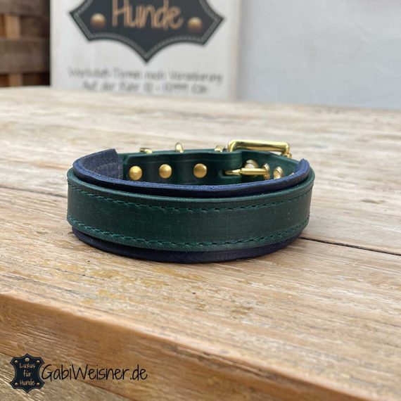 Hundehalsband aus Leder in Grün und Blau