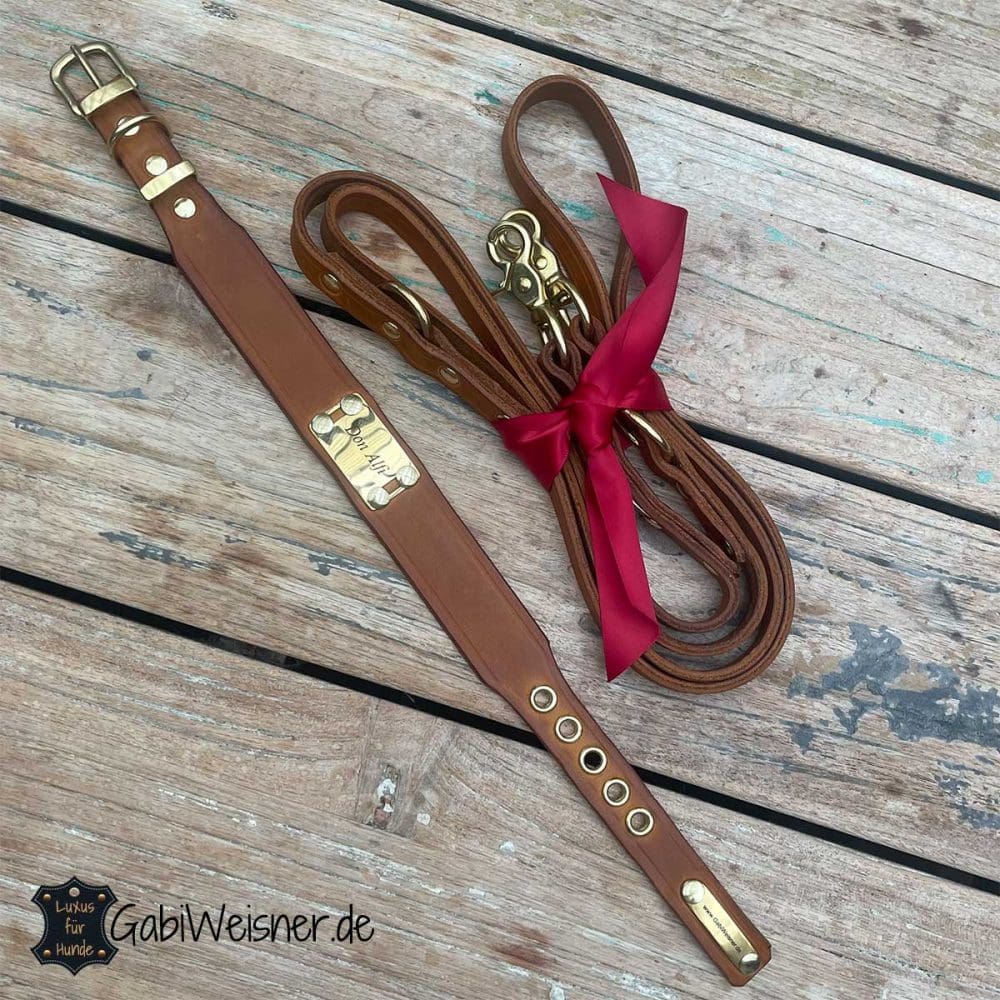 Echtleder Hundehalsband & Leine Set – Passend, 2,5 Cm Breit, Größe M (38–48 Cm), Mit Silberner Schnalle