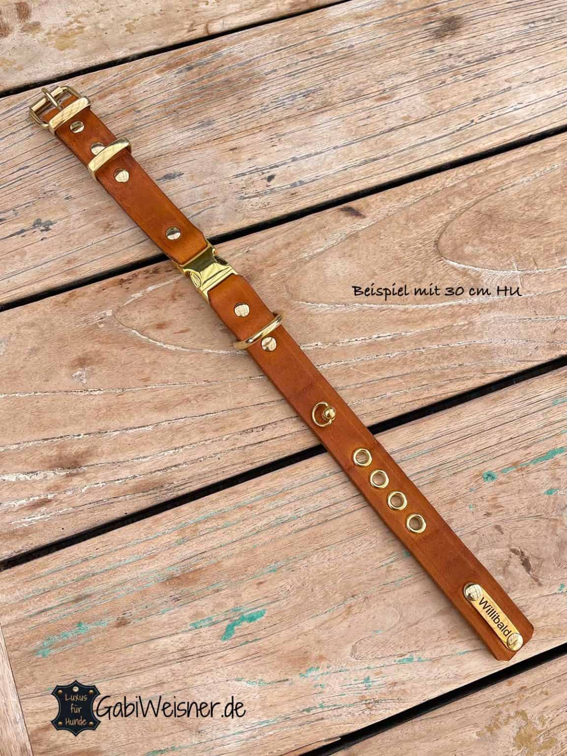 Haoyueer Hundehalsband Aus Weichem Neopren – Verstellbar, Atmungsaktiv Und Bequem Für Kleine Bis Große Hunde
