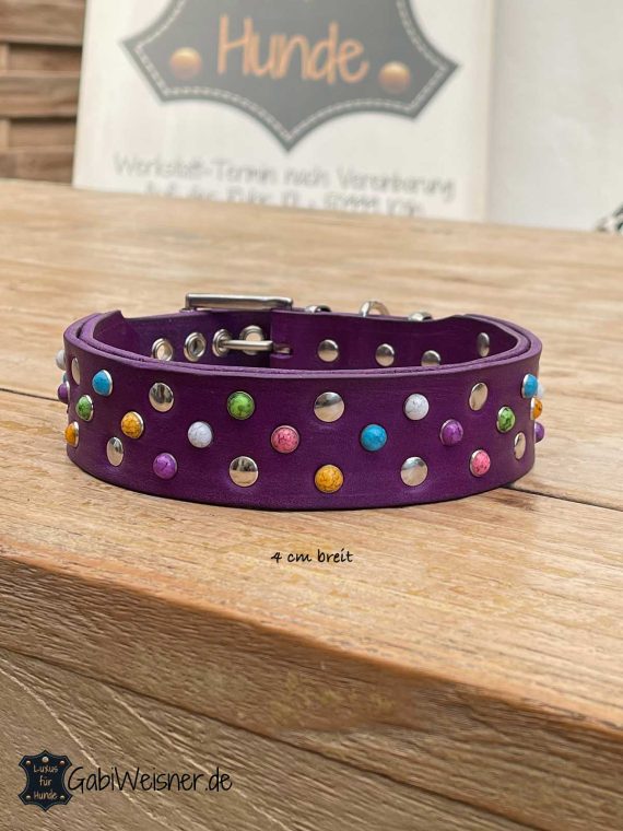 Hundehalsband bunte Nieten Leder Lila 4 cm breit