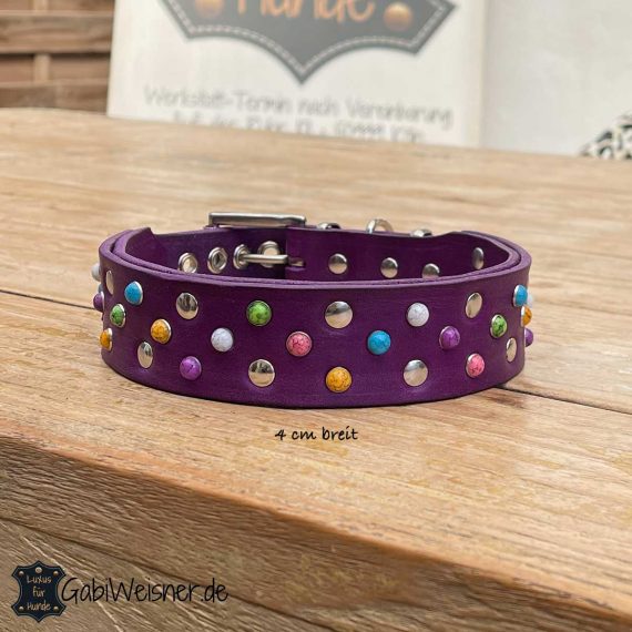 Hundehalsband bunte Nieten Leder Lila 4 cm breit