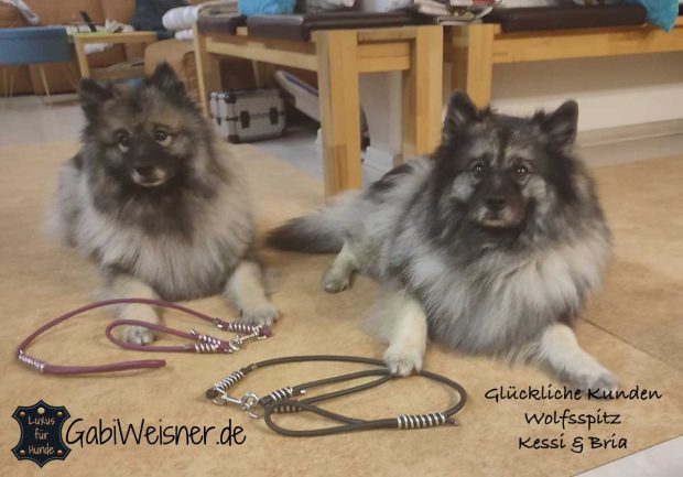 Hundeleine aus Rundleder in allen Farben
