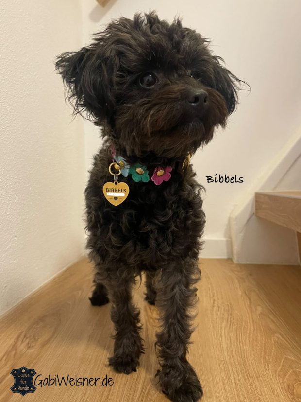 Hundehalsband mit Blumen für Bibbels 19 cm HU