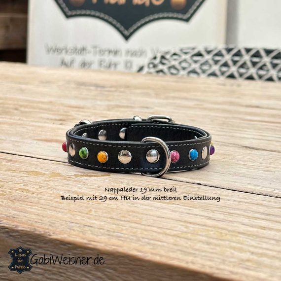 Halsband für kleine Hunde. Weiches Nappaleder 19 mm breit und in den zur Auswahl stehenden Farben. Dekoriert mit bunten Nieten im Mix.