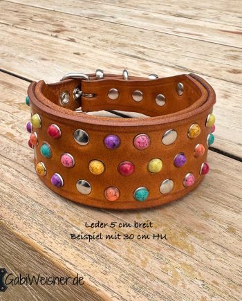 Buntes Hundehalsband aus Leder 5 cm breit, für kleine starke Hunde