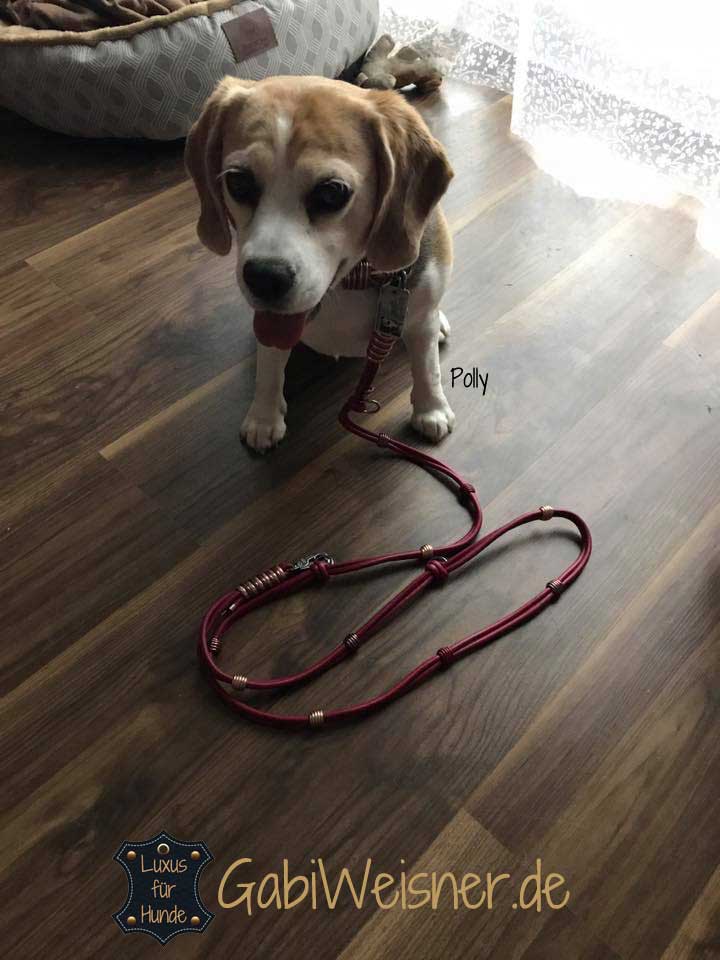 Luxus Hundeleine aus Leder in Dunkelrot + Metallic-Farben