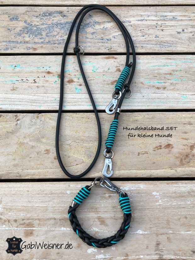Hundehalsband SET aus Leder rund, für kleine Hunde