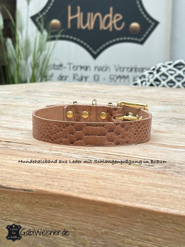Hundehalsband aus Leder mit Schlangenprägung Hundehalsband aus Leder mit Schlangenprägung in Braun