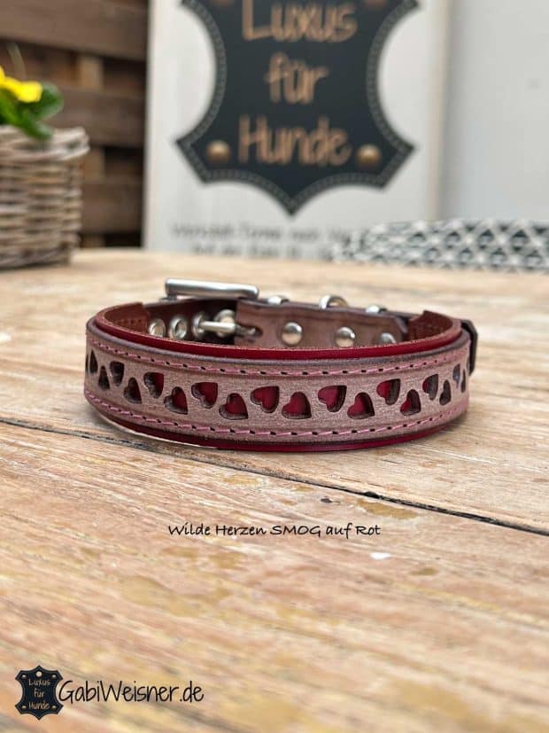 Hundehalsband wilde Herzen Hundehalsband wilde Herzen