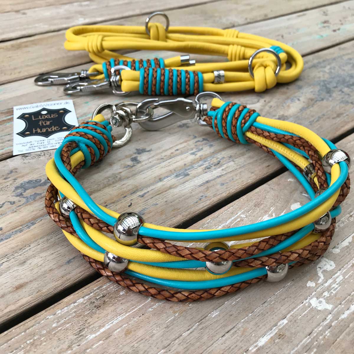 Newtensina Punk Hundehalsband Mit Leine – Leder-Optik Mit Nieten, Für Kleine Hunde