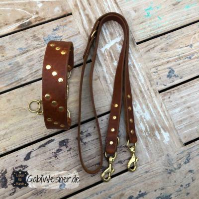 Basic-Halsband-und-Leine