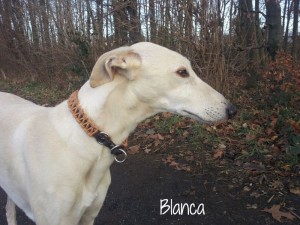 Blanca-4
