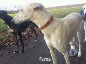 Blanca-5