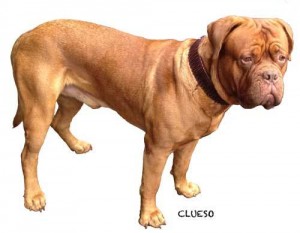 CLUESO3